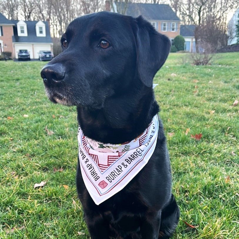 Spice Bandana