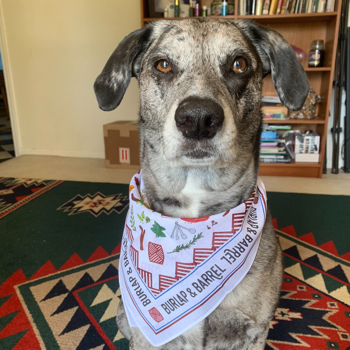 Spice Bandana
