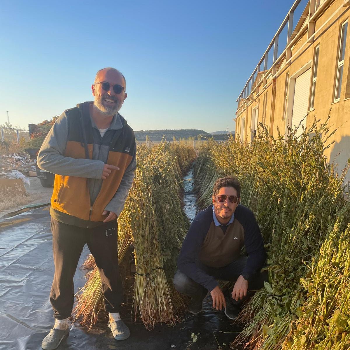 Two men standing outdoors in a farm-like setting with rows of harvested plants. One man stands on the left wearing a gray and orange vest, dark pants, and sunglasses, while the other crouches on the right in a dark long-sleeve shirt and pants.