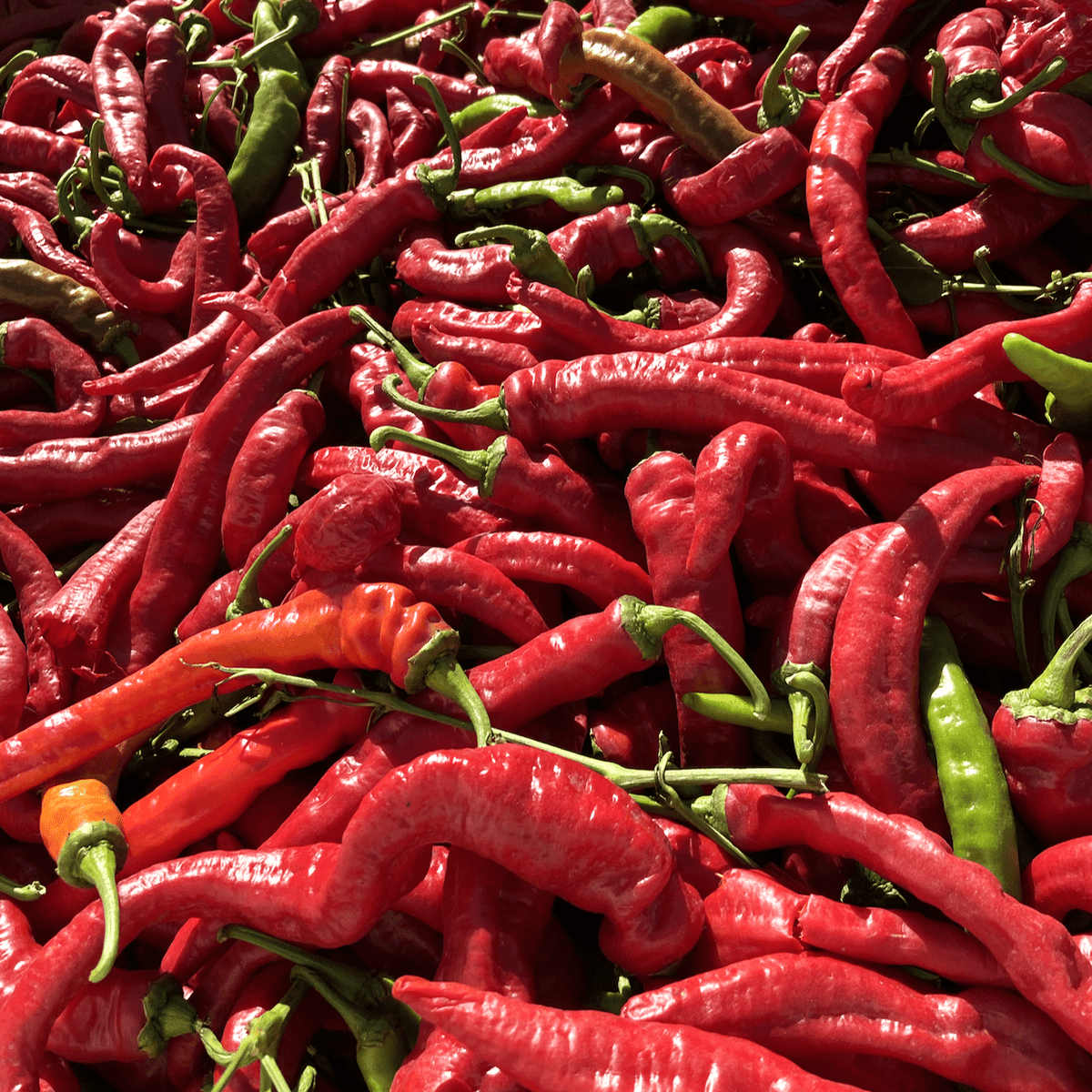California Cayenne