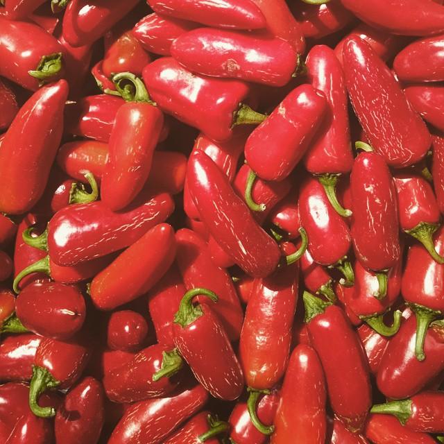 Red Jalapeño Chili Flakes - Burlap & Barrel