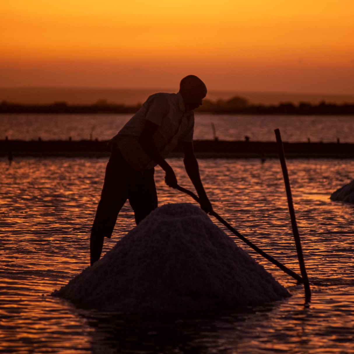 Partner farmer in Tanzania standing in water and holding a stick in front of the setting sun. In front of him, a pile of collected sea salt. 