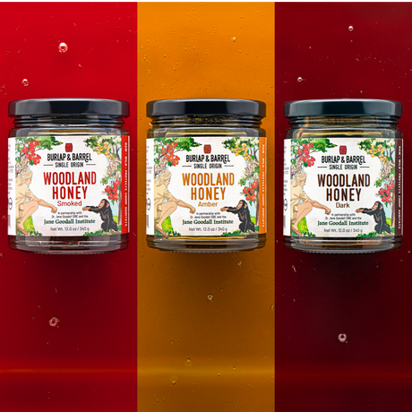 Three jars of Burlap & Barrel Woodland Honey on orange, yellow and red background. 