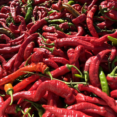 Cayenne