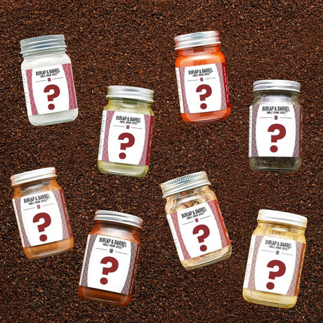 A collection of full-sized jars of spices with mystery labels, arranged on a bed of loose spices.